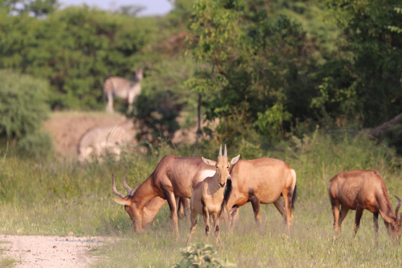 Ngangane Lodge & Reserve フランシスタウン エクステリア 写真