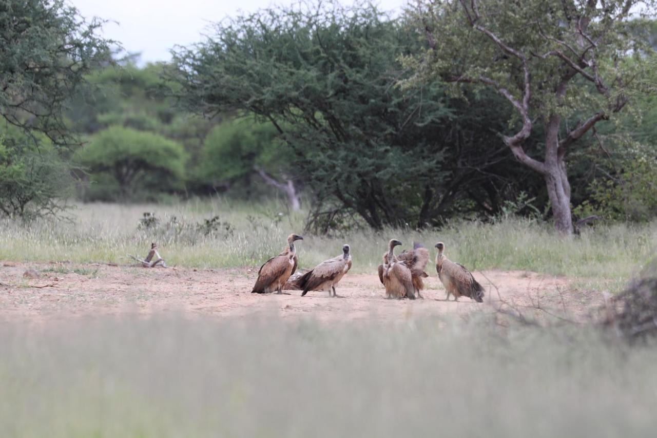 Ngangane Lodge & Reserve フランシスタウン エクステリア 写真